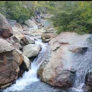 Meet your Posher, Mayze